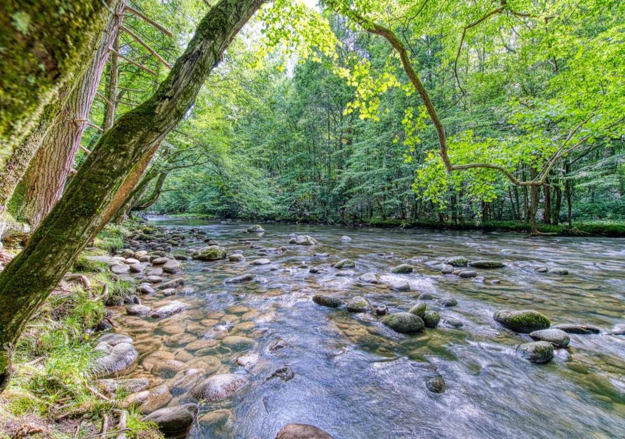 The Grand Orchard Lodge - Gatlinburg, Tn Bagian luar foto